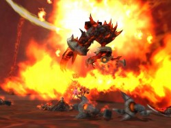 ꡼ No.006Υͥ / FLORENSIA ϴϤ٤˽ɡ֥˥פ