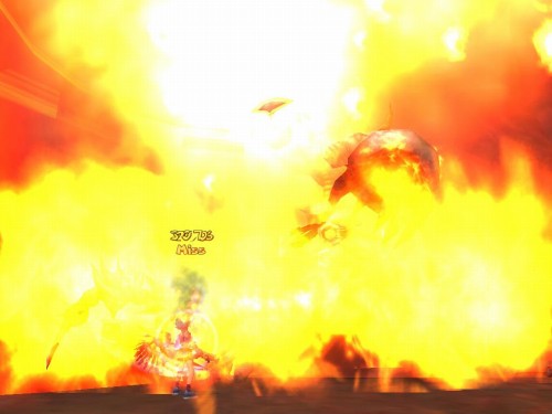 ꡼ No.008Υͥ / FLORENSIA ϴϤ٤˽ɡ֥˥פ