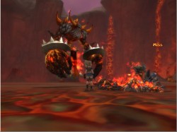 ꡼ No.012Υͥ / FLORENSIA ϴϤ٤˽ɡ֥˥פ