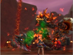 ꡼ No.013Υͥ / FLORENSIA ϴϤ٤˽ɡ֥˥פ