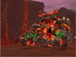 ꡼ No.015Υͥ / FLORENSIA ϴϤ٤˽ɡ֥˥פ