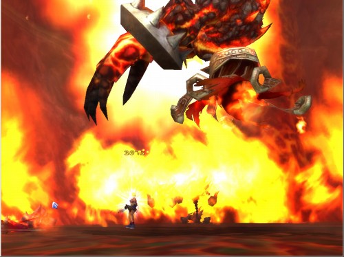 ꡼ No.016Υͥ / FLORENSIA ϴϤ٤˽ɡ֥˥פ