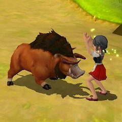 画像ギャラリー No.005のサムネイル画像 / 「FLORENSIA ♯」料理のレシピや41本の新クエストが追加