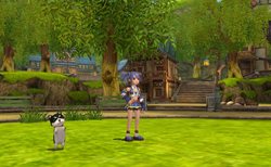 画像ギャラリー No.003のサムネイル画像 / 「FLORENSIA ♯」11月11日にアップデート実施。キュートなペットと旅ができる,「ペットシステム」の情報をさっそくチェックしよう