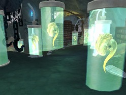 ꡼ No.003Υͥ / FLORENSIA 1111˼ͽ緿åץǡȾ2ơ٥󥸥̩¸סܥ󥹥о