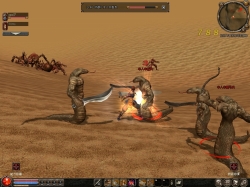 ꡼ No.019 | 饤󥲡ॵӥλ֤ޤסܳʥ֥饦MMORPG֤ΤפȥСȤˤĤSankando˥󥿥ӥ塼