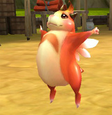 ꡼ No.003Υͥ / ˡϩפΥڥåȥƥ˴ؤ󤬸ƮƮΤɤ֤