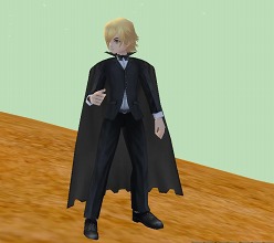 ���������꡼ No.002�Υ���ͥ������ / �֥롼����ȥϡ��ȡס��۷쵴��ʱ���������ɥ���� ����Ϻ�פ���ޤ��褦