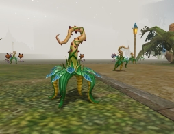 ꡼ No.014 | ֥롼ȥϡȡס緿åץǡȡDuctusפߥȤץ