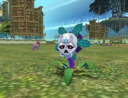 ꡼ No.015 | ֥롼ȥϡȡס緿åץǡȡDuctusפߥȤץ