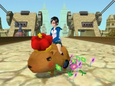 ꡼ No.004Υͥ / ֥롼ȥϡȡסڥåȤ֥롼ȥϡȥåȡפ»