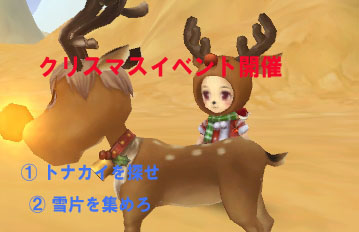 ꡼ No.004 | ֥ʥƥסβɤ򽸤ƥꥹޥĥ꡼ξ䥢Х餪