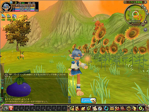 ꡼ No.002Υͥ / ֥ʥƥץ饹פӥ1225ȡ11301̾ǥɦ¥ƥ罸