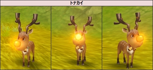 ꡼ No.006Υͥ / ֥ʥƥפǿץ쥤䡼祤٥Ȥ롣XmasꥢХ