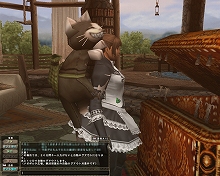 ������#009�Υ���ͥ���/�֥�󥹥����ϥ󥿡� �ե���ƥ��� ����饤��ץ�ե����󥢥åץǡ��Ȥ������»ܡ����ˤʤ륨�����ȥ饷��åפ������ʰ�����Ǻ�