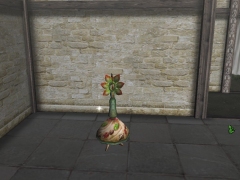 画像集#020のサムネイル/「MHF」シーズン2.0公開情報第5弾:HR100以上向けの新要素“マイトレ”や,装備限定クエスト“追加依頼”などの詳細をお届け