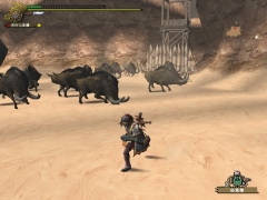 画像集#016のサムネイル/「MHF」プレイレポート前編:初心者〜中級者向けのコンテンツが充実してきた“シーズン2.0”