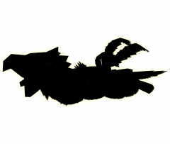 #043Υͥ/MHFסü꡼ɤϤȤ/ԥʥ/ޥȥ쥢롼ʤɡΡȥ2.5ɥåץǡȤ423»