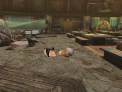 #046Υͥ/MHFסü꡼ɤϤȤ/ԥʥ/ޥȥ쥢롼ʤɡΡȥ2.5ɥåץǡȤ423»