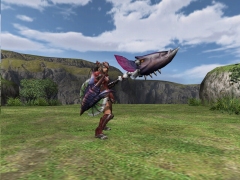 画像集#013のサムネイル/「MHF」シーズン3.0情報第1弾:狩人祭に“祭ポイント”システムや勝ち組限定防具などが登場,マイガーデンにも拡張あり