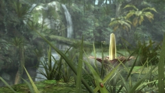 画像集#002のサムネイル/近日公開!「モンスターハンター フロンティア オンライン」ベンチマークソフトの画面写真13点を掲載