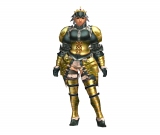 画像集#047のサムネイル/「MHF」シーズン3.0情報第2弾:新モンスターは“アクラ・ヴァシム”と“ヒプノック希少種”,新フィールドは闘技場型の“樹海頂部”