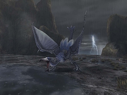 ������#014�Υ���ͥ���/����󥹥����ȥ����顦��������ɤĤ����о졪 ��MHF���緿���åץǡ��ȡ֥�������3.0����������