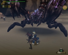 ꡼ No.014 | MHFץ3.0о줷󥹥ȥ顦ɤΥץ쥤ݡȤࡼӡդǷǺ