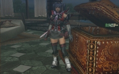 ꡼ No.015 | MHFץ3.0о줷󥹥ȥ顦ɤΥץ쥤ݡȤࡼӡդǷǺ