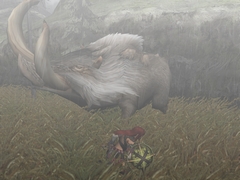 画像集#003のサムネイル/非課金プレイヤーも要注目! 「モンスターハンター フロンティア オンライン」シーズン3.0プレミアムパッケージとポルタチケットを合計2000名様にプレゼント!