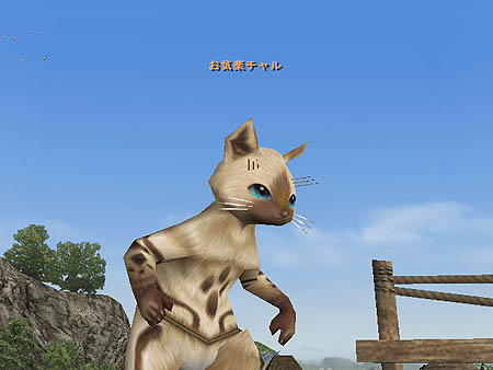 画像ギャラリー No.012のサムネイル画像 / 「MHF」シーズン4.0情報第五報公開。マイトレ新システム「プーギー牧場」や新スキルが明らかに。シーズン5.0予告付きシーズン4.0PVもUp