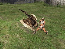 ������#004�Υ���ͥ���/�֥�󥹥����ϥ󥿡� �ե���ƥ��� ����饤��פ�14���μ��ͺ׳���