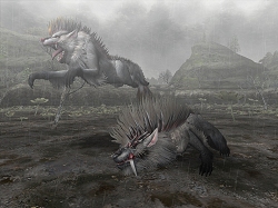 画像ギャラリー No.002のサムネイル画像 / 2頭の連携攻撃をかいくぐれ!「モンスターハンター フロンティア」“シーズン6.0 双牙、オルガロン”の第1報公開