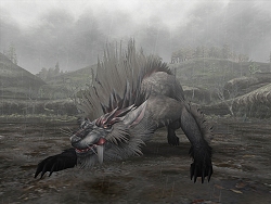 画像ギャラリー No.004のサムネイル画像 / 2頭の連携攻撃をかいくぐれ!「モンスターハンター フロンティア」“シーズン6.0 双牙、オルガロン”の第1報公開