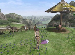 ꡼ No.008Υͥ / ǤɲǤȾ⡪MHFϢ2ϡѥ͡ᥭХȥޥȥ롪