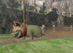 ꡼ No.009Υͥ / ǤɲǤȾ⡪MHFϢ2ϡѥ͡ᥭХȥޥȥ롪