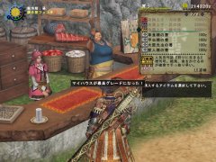 ꡼ No.002Υͥ / MHFץ8.0󡧤Ĥ˥ƥܥåܥåĥ¸ǥ饬񥷥ƥ³