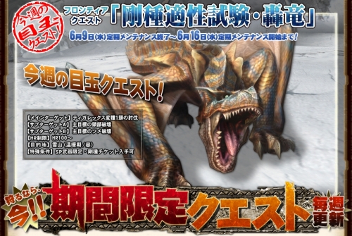 ���������꡼ No.001�Υ���ͥ������ / ��MHF��6��9���ۿ��δ��ָ��ꥯ�����ȸ������������̤ܶϹ�ε