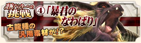 ���������꡼ No.012�Υ���ͥ������ / �֥�󥹥����ϥ󥿡� �ե���ƥ��� ����饤��ס���ŵ���ܥץ�ߥ���ѥå��������ɲ���������MHF Anniversary 2010 �ե����ƥ��Х����3�ƤⳫ����