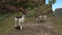 ꡼ No.013Υͥ / MHFס緿åץǡȡ֥9.0͡󥼥֥ɡפȤʤȹϡɤƤץߥѥåΥӥ奢⤪Ϫ