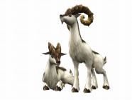 ꡼ No.014Υͥ / MHFס緿åץǡȡ֥9.0͡󥼥֥ɡפȤʤȹϡɤƤץߥѥåΥӥ奢⤪Ϫ