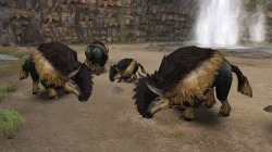 ꡼ No.016Υͥ / MHFס緿åץǡȡ֥9.0͡󥼥֥ɡפȤʤȹϡɤƤץߥѥåΥӥ奢⤪Ϫ