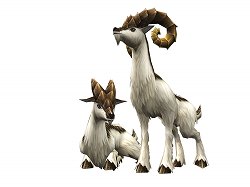 画像ギャラリー No.024のサムネイル画像 / 「MHF」運営プロデューサーインタビュー:新たな要素に挑戦し続けるシーズン9.0では,フィールドとモンスターが連動するギミックも