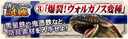 画像ギャラリー No.006のサムネイル画像 / 「MHF」,メゼポルタ迎春祭が本日開催。モンスターを狩り尽くそう