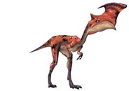 ꡼ No.019Υͥ / MHF緿åץǡȡ֥ե.2פκǿ󤬸ˡ緿󥹥֥⥢פ俷եɡĬפưǳǧ褦