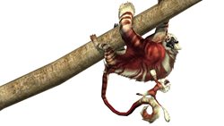 ꡼ No.001Υͥ / MHF ֥֡ۥ륯פоǡ֥꡼ȡפ䡤ե2Ƥץå