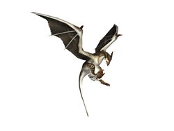 ꡼ No.008Υͥ / MHF ֥֡ۥ륯פоǡ֥꡼ȡפ䡤ե2Ƥץå