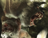 ꡼ No.053Υͥ / MHFסåץǡȡ֥ե.2 ķơǮӤԤ²ɡ׺ǿ󡣹®Ǽȴ¸ǽֿפ