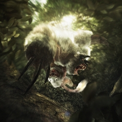 ꡼ No.001 | 󥹥ȥ⥢ɤȳĥեɡĬɤǿʶä򡣡MHF緿åץǡȡ֥ե.2ķơǮӤԤ²ɡ׼ľ󥿥ӥ塼