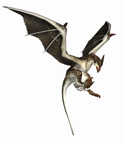 ꡼ No.043 | 󥹥ȥ⥢ɤȳĥեɡĬɤǿʶä򡣡MHF緿åץǡȡ֥ե.2ķơǮӤԤ²ɡ׼ľ󥿥ӥ塼